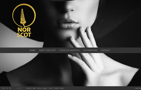 Bespoke Web Design